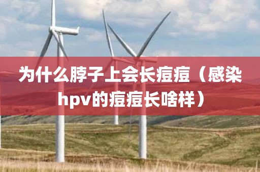 为什么脖子上会长痘痘（感染hpv的痘痘长啥样）