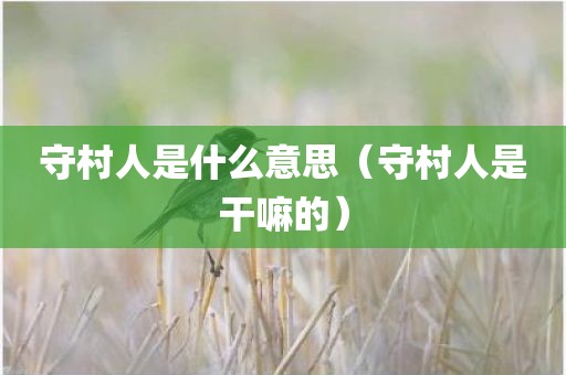 守村人是什么意思（守村人是干嘛的）