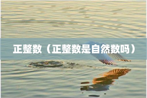 正整数（正整数是自然数吗）