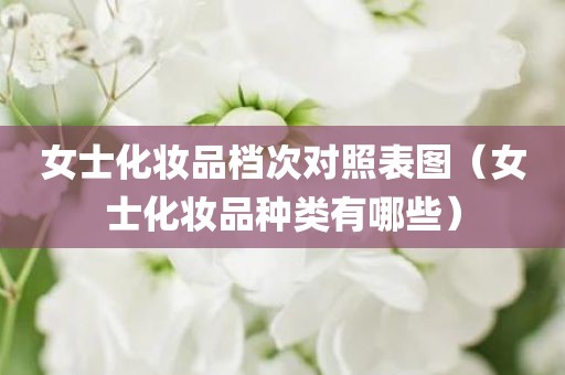 女士化妆品档次对照表图（女士化妆品种类有哪些）