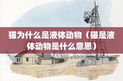 猫为什么是液体动物（猫是液体动物是什么意思）