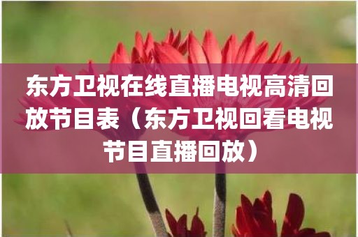 东方卫视在线直播电视高清回放节目表（东方卫视回看电视节目直播回放）