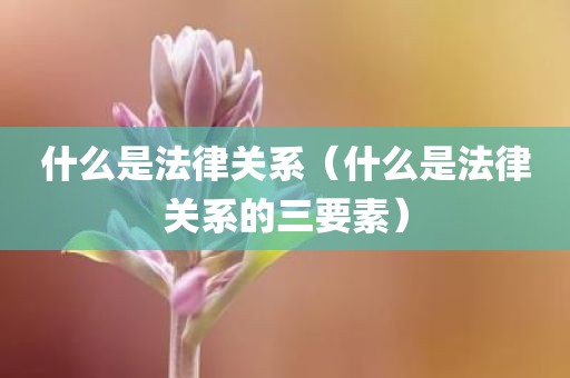 什么是法律关系(什么是法律关系的三要素)