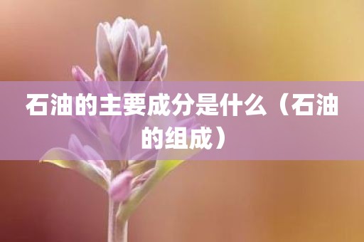 石油的主要成分是什么(石油的组成)