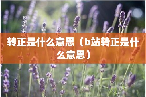 转正是什么意思（b站转正是什么意思）