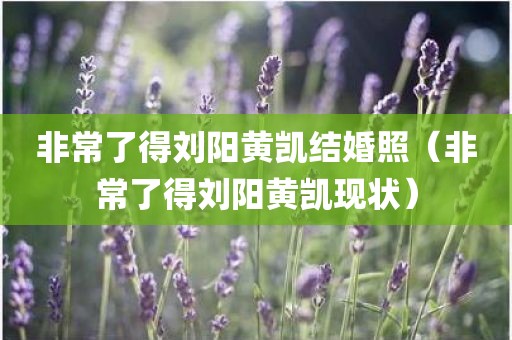 非常了得刘阳黄凯结婚照（非常了得刘阳黄凯现状）
