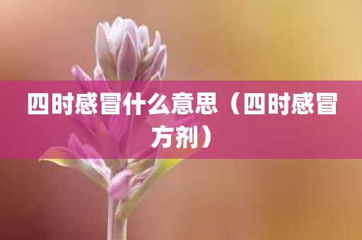 四时感冒什么意思（四时感冒方剂）