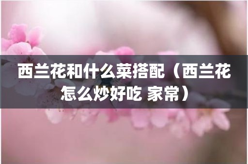 西兰花和什么菜搭配（西兰花怎么炒好吃 家常）
