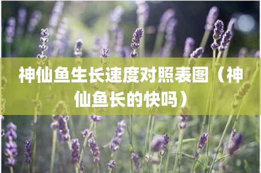 神仙鱼生长速度对照表图（神仙鱼长的快吗）