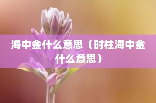 海中金什么意思（时柱海中金什么意思）