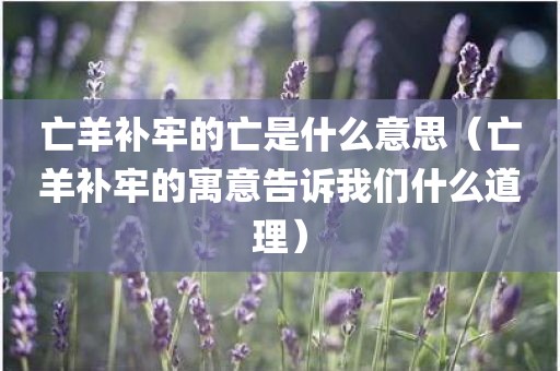 亡羊补牢的亡是什么意思（亡羊补牢的寓意告诉我们什么道理）
