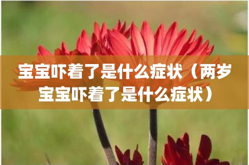 宝宝吓着了是什么症状（两岁宝宝吓着了是什么症状）