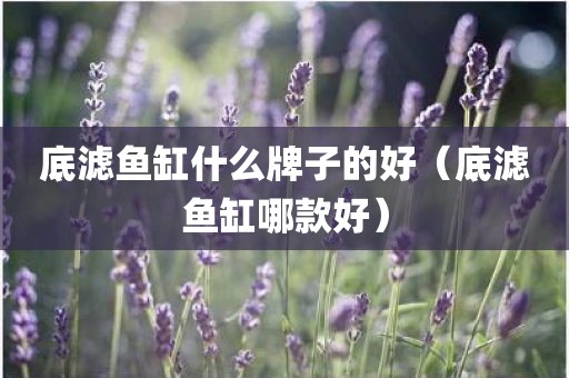 底滤鱼缸什么牌子的好（底滤鱼缸哪款好）