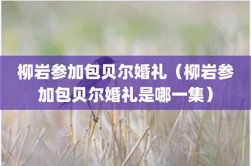 柳岩参加包贝尔婚礼(柳岩参加包贝尔婚礼是哪一集) 柳岩参加包贝尔婚礼(柳岩参加包贝尔婚礼是哪一集)