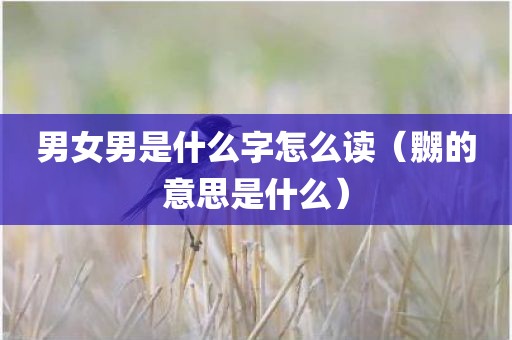 男女男是什么字怎么读（嬲的意思是什么）