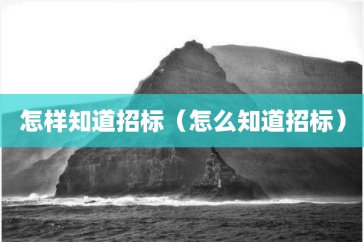 怎样知道招标（怎么知道招标）