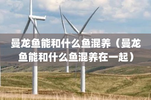 曼龙鱼能和什么鱼混养（曼龙鱼能和什么鱼混养在一起）