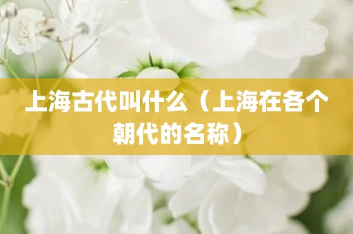 上海古代叫什么（上海在各个朝代的名称）