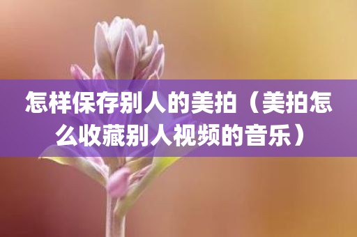 怎样保存别人的美拍（美拍怎么收藏别人视频的音乐）