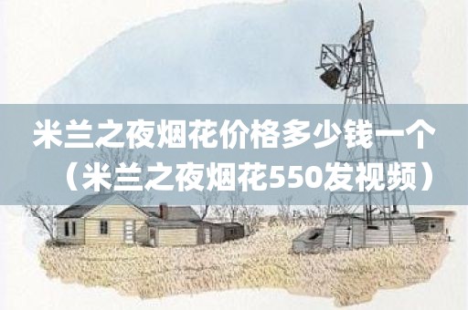 米兰之夜烟花价格多少钱一个(米兰之夜烟花550发视频)
