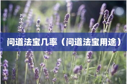 问道法宝几率（问道法宝用途）