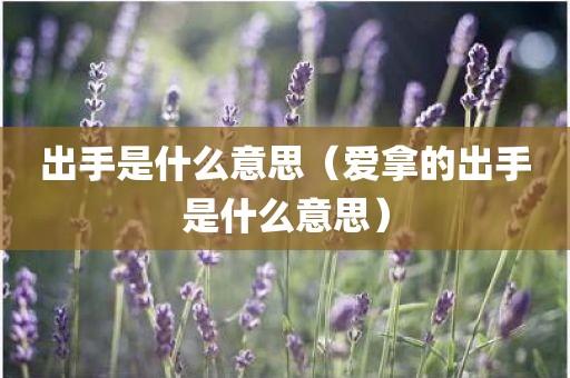出手是什么意思（爱拿的出手是什么意思）