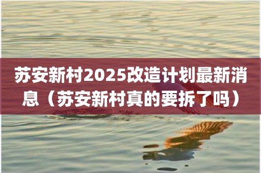苏安新村2025改造计划最新消息（苏安新村真的要拆了吗）