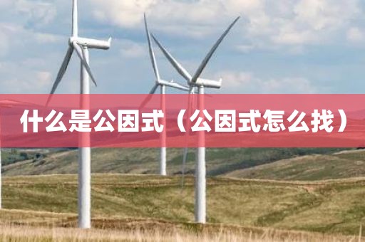 什么是公因式（公因式怎么找）