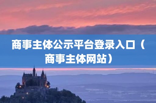 商事主体公示平台登录入口（商事主体网站）