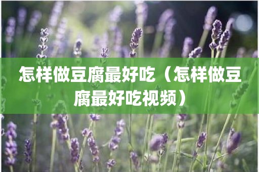 怎样做豆腐最好吃（怎样做豆腐最好吃视频）