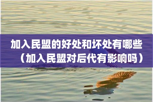 加入民盟的好处和坏处有哪些（加入民盟对后代有影响吗）