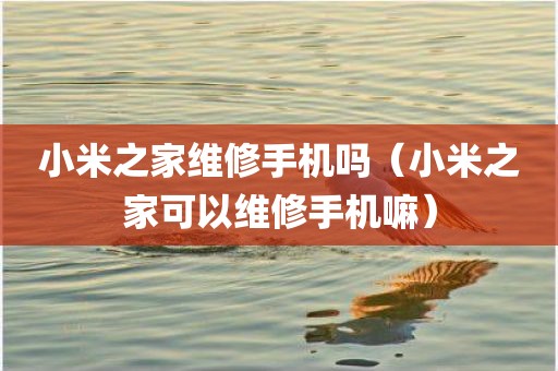 小米之家维修手机吗（小米之家可以维修手机嘛）