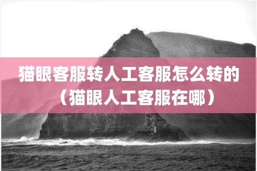 猫眼客服转人工客服怎么转的（猫眼人工客服在哪）