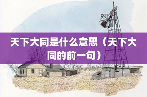 天下大同是什么意思（天下大同的前一句）
