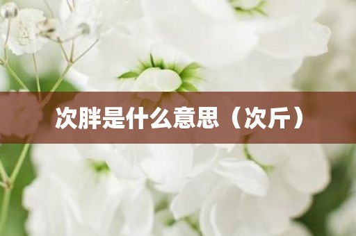 次胖是什么意思（次斤）