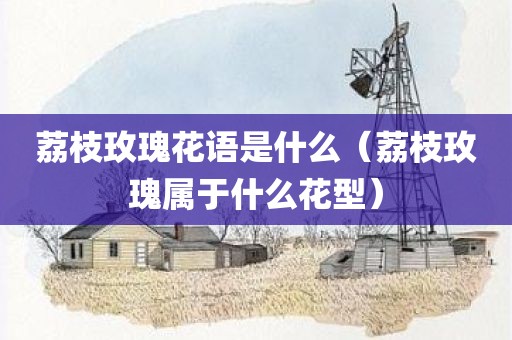 荔枝玫瑰花语是什么（荔枝玫瑰属于什么花型）