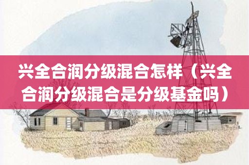 兴全合润分级混合怎样（兴全合润分级混合是分级基金吗）