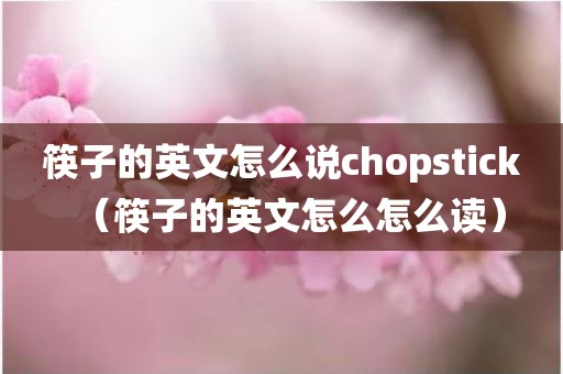 筷子的英文怎么说chopstick（筷子的英文怎么怎么读）