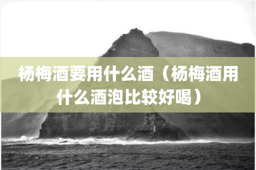 杨梅酒要用什么酒（杨梅酒用什么酒泡比较好喝）
