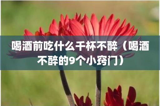 喝酒前吃什么千杯不醉（喝酒不醉的9个小窍门）