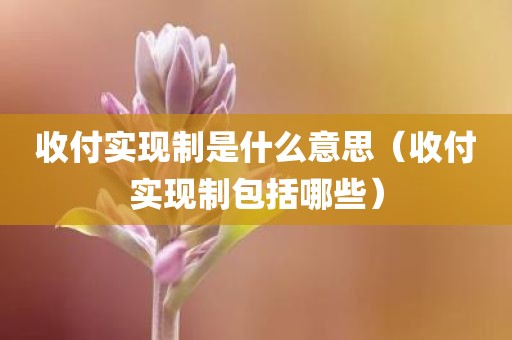 收付实现制是什么意思(收付实现制包括哪些)