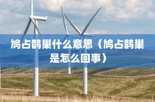 鸠占鹊巢什么意思（鸠占鹊巢是怎么回事）