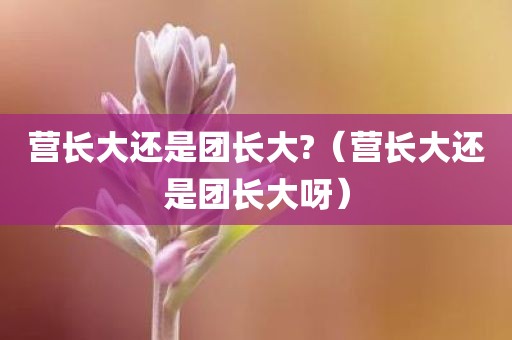 营长大还是团长大?（营长大还是团长大呀）
