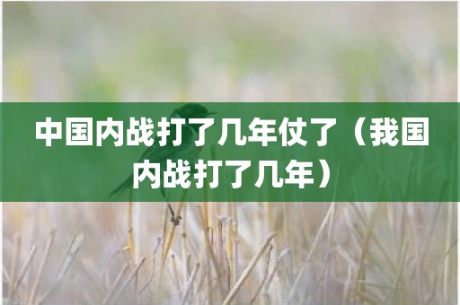 中国内战打了几年仗了(我国内战打了几年) 中国内战打了几年仗了(我国内战打了几年)