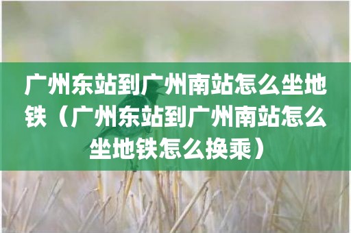 广州东站到广州南站怎么坐地铁（广州东站到广州南站怎么坐地铁怎么换乘）