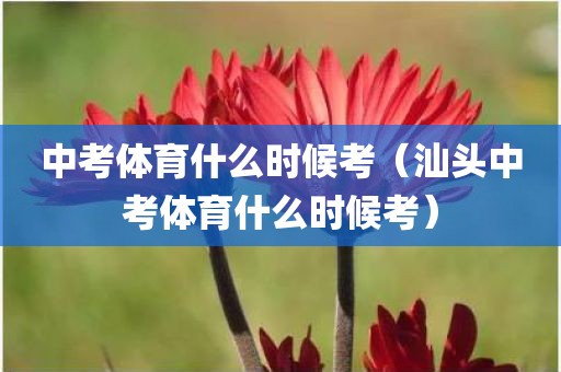 中考体育什么时候考（汕头中考体育什么时候考）