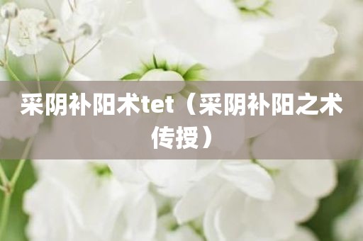 采阴补阳术tet（采阴补阳之术传授）