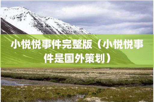 小悦悦事件完整版（小悦悦事件是国外策划）