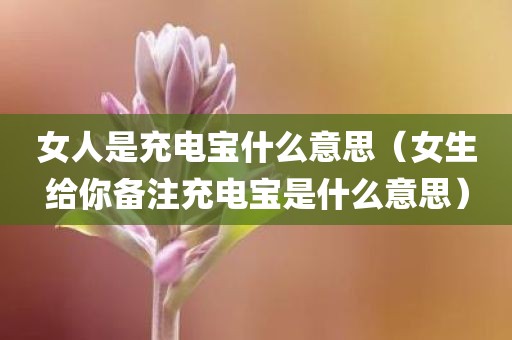 女人是充电宝什么意思（女生给你备注充电宝是什么意思）