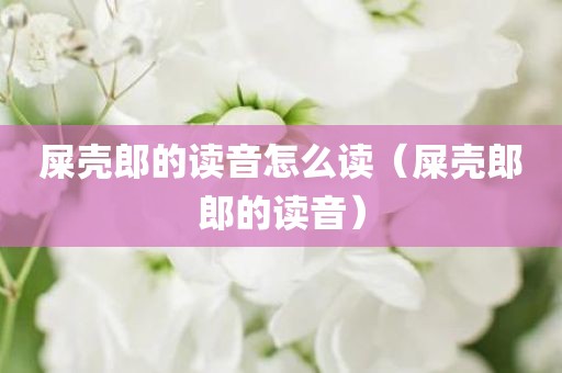 屎壳郎的读音怎么读（屎壳郎郎的读音）